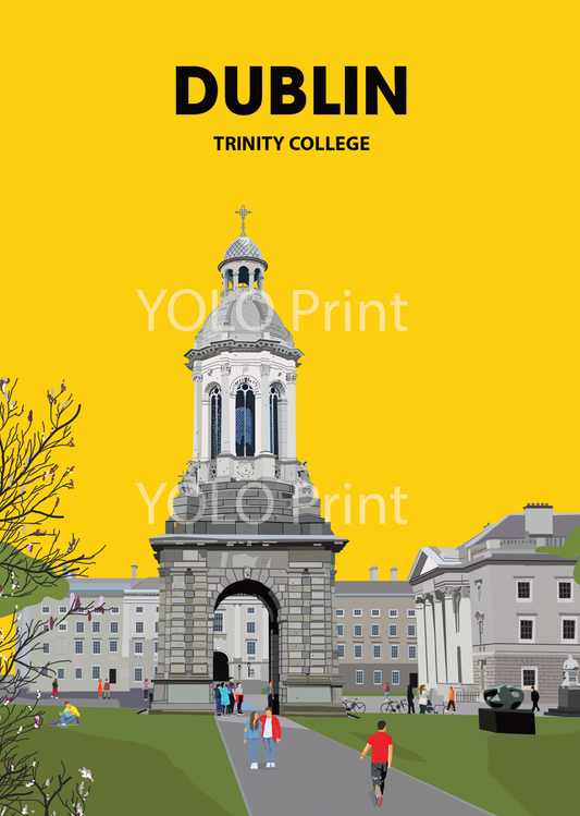 Dublin Postcard or A4 Mounted Print  - Trinity College