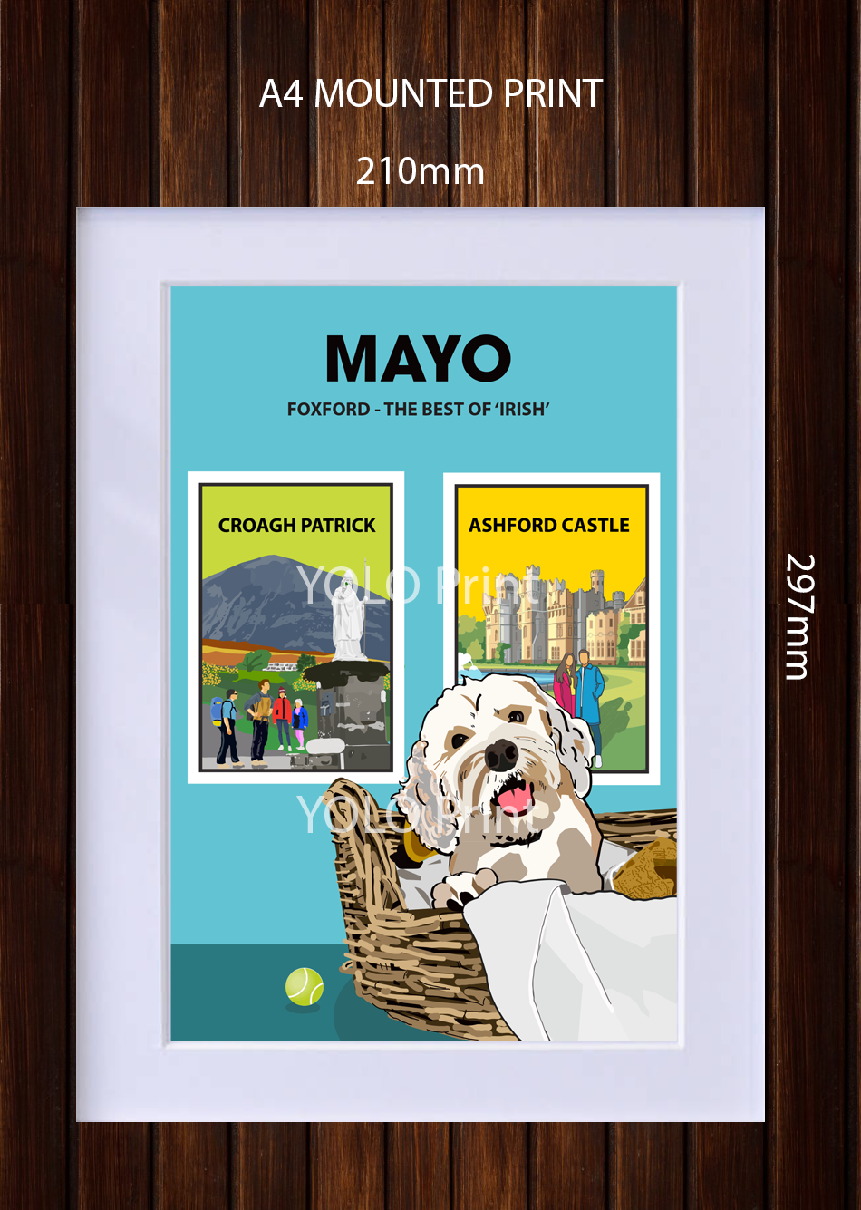Mayo Postcard or A4 Mounted Print  - Foxford