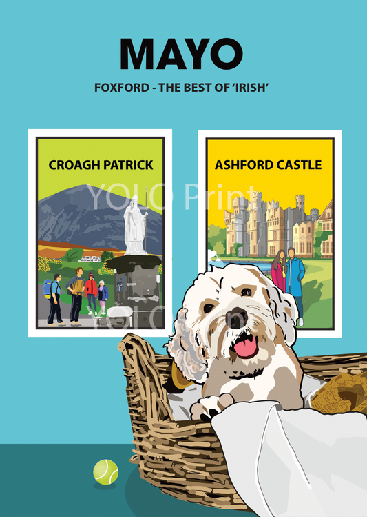 Mayo Postcard or A4 Mounted Print  - Foxford