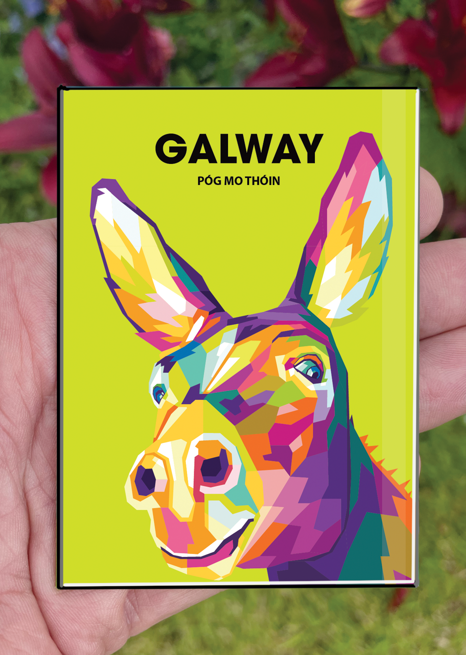 Galway Postcard or A4 Mounted Print or Fridge Magnet - Galway Races