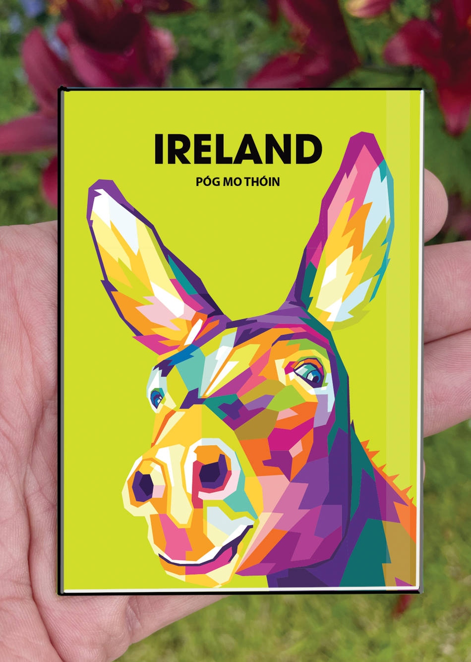 Ireland Postcard or A4 Mounted Print or Fridge Magnet - Pog mo thoin