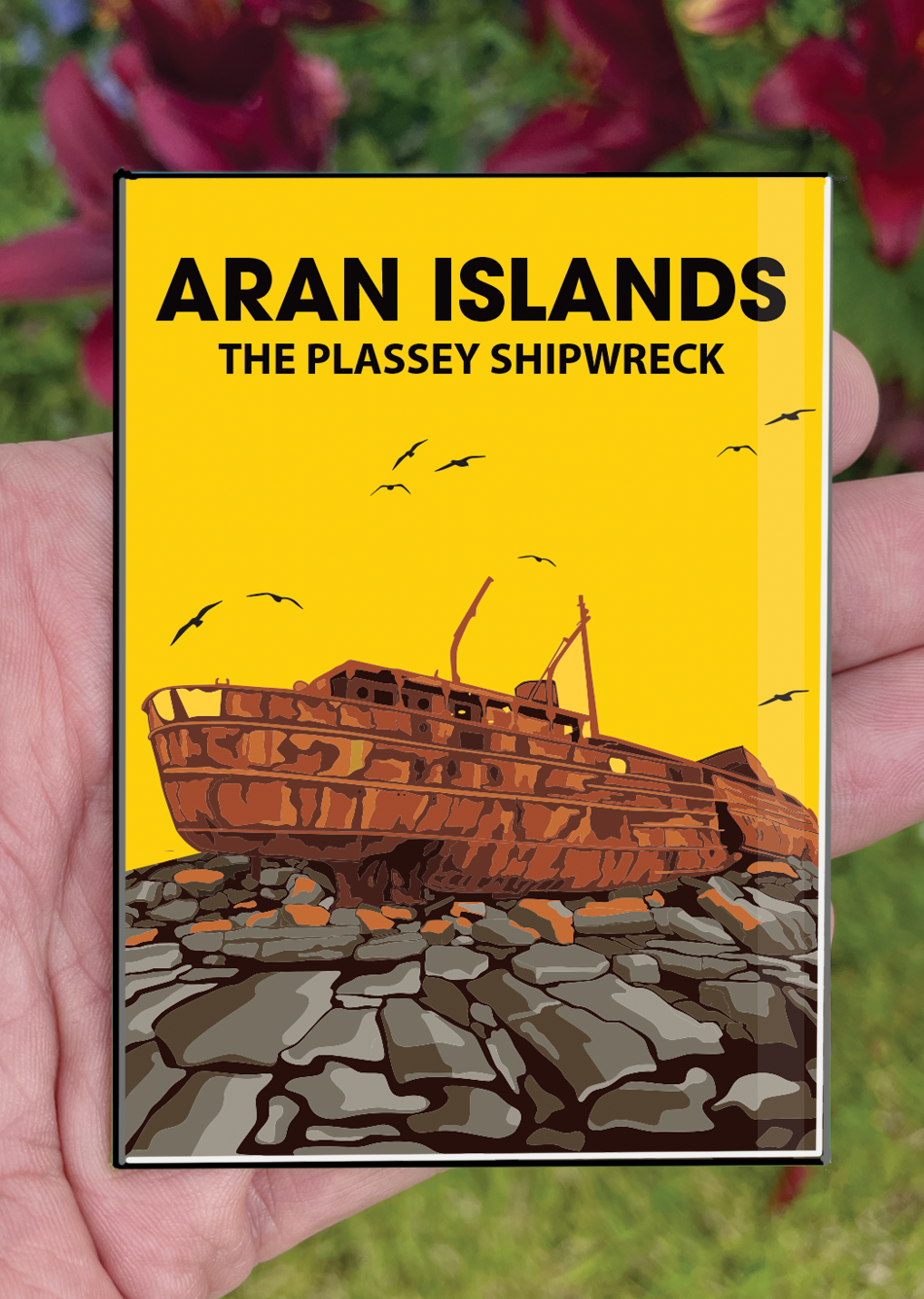 Aran Islands Postcard or A4 Mounted Print or Fridge Magnet - The Plassey