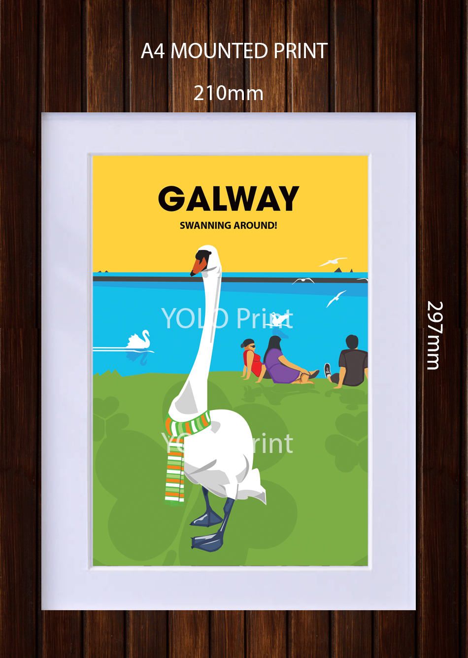 Galway Postcard or A4 Mounted Print - Swanning Around