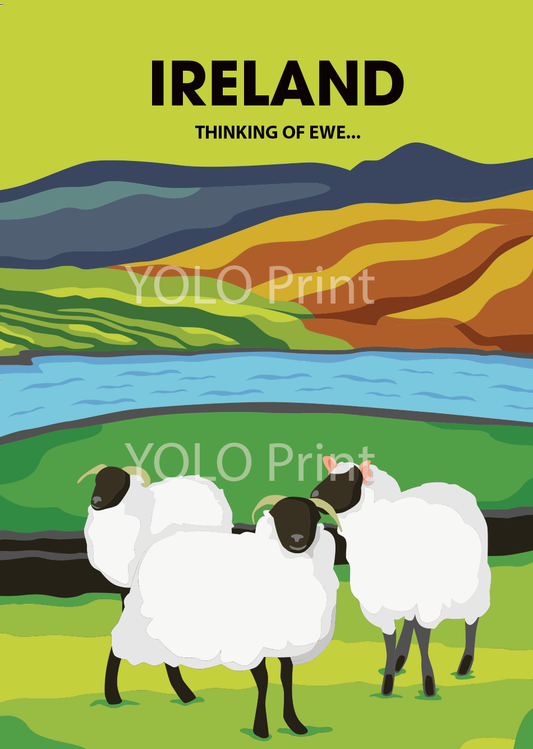 Ireland Postcard or A4 Mounted Print or Fridge Magnet - Thinking of Ewe